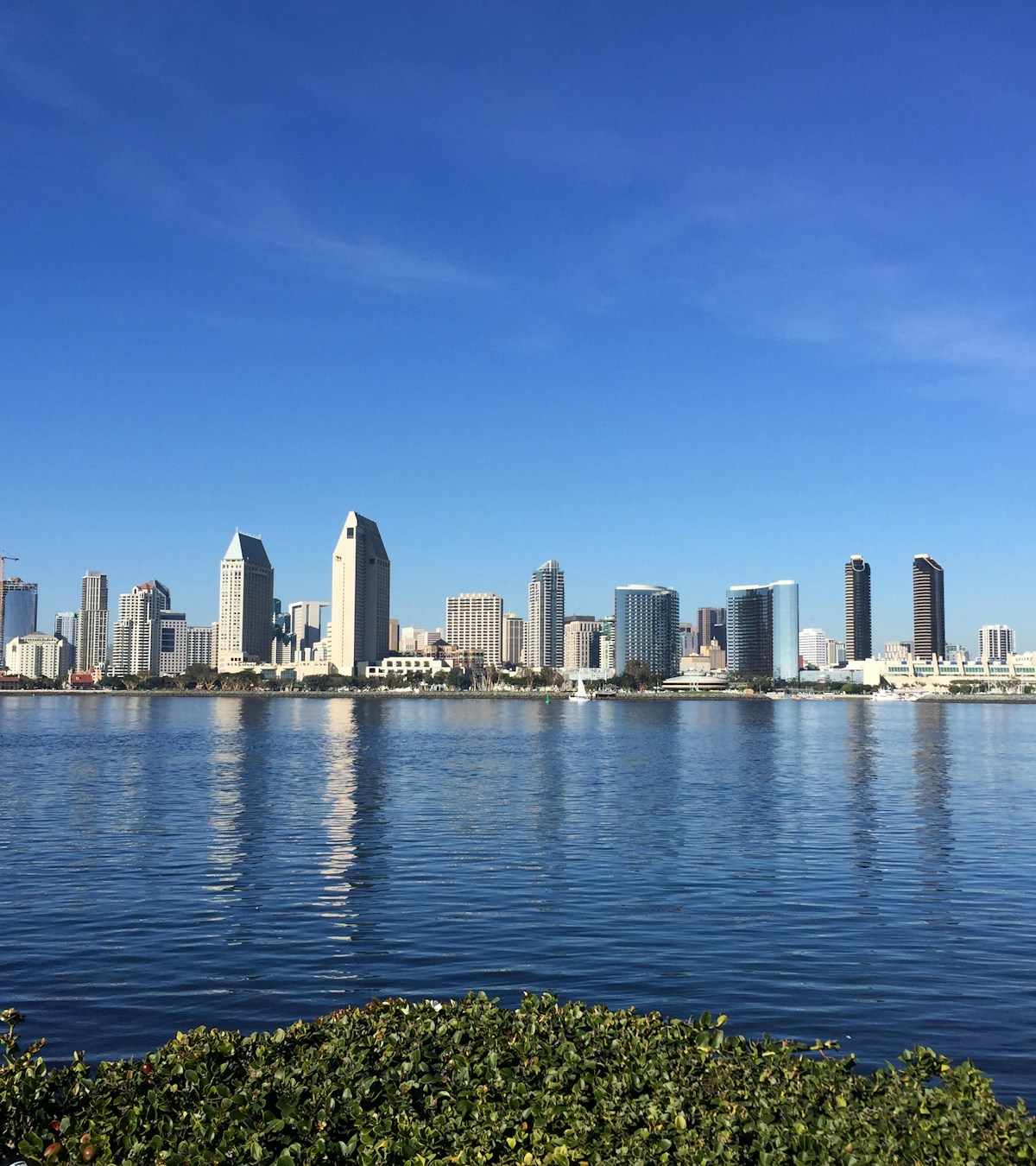 San Diego skyline across the blue waters of the bay